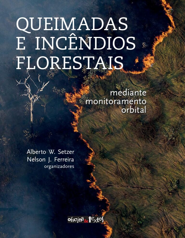 Capa de Queimadas e incêndios florestais: mediante monitoramento orbital